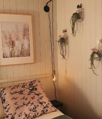 Ekspedisjonen Han/Misafirhane *