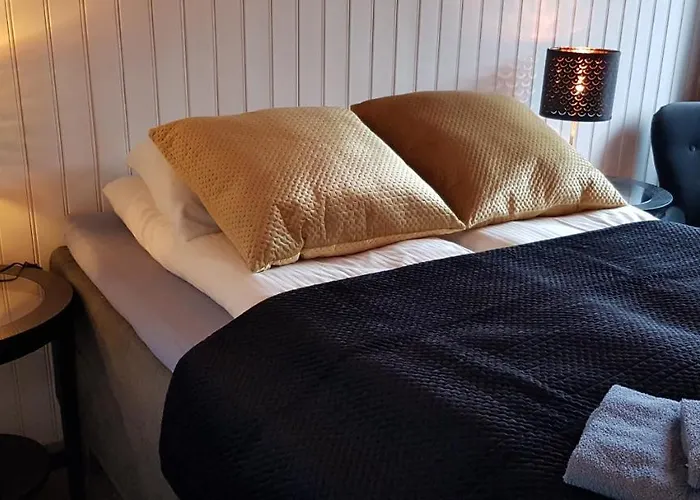 Ekspedisjonen Han/Misafirhane *