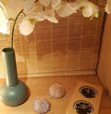 Ekspedisjonen Nyksund